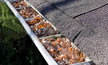 gutter cleaning Tampa